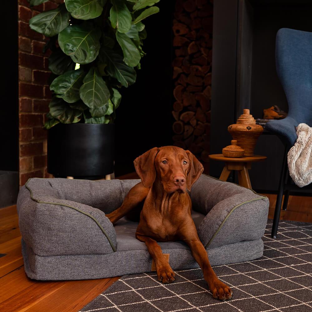 Buddy & Belle Orthopaedic Lounge Dog Bed Steel Grey Medium