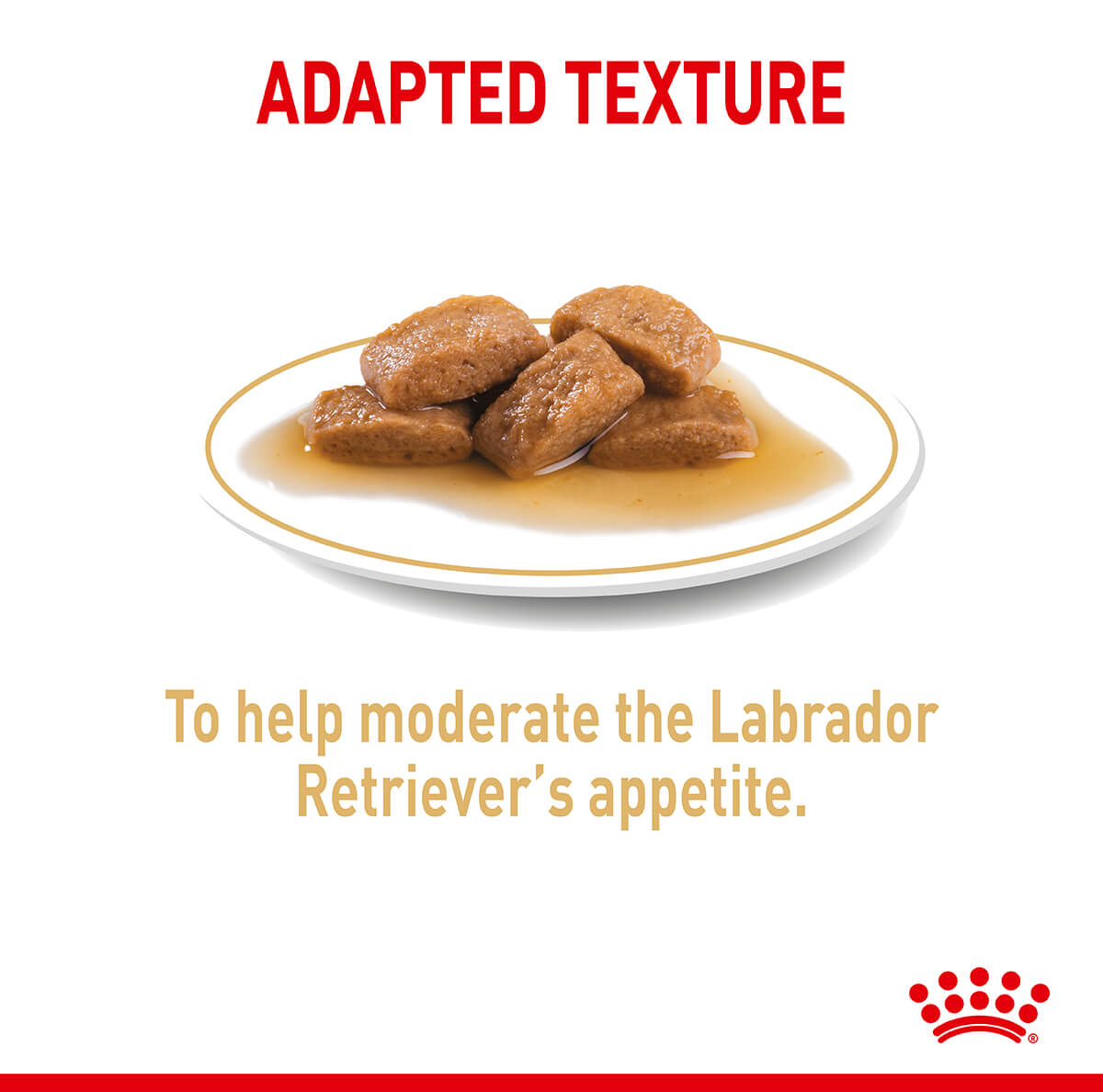 Royal Canin Labrador Retriever Loaf Wet Dog Food