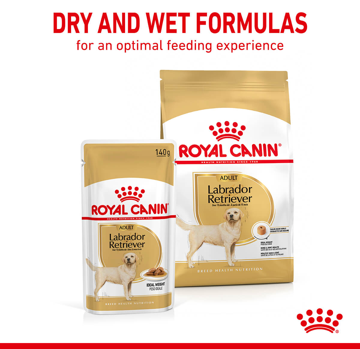 Royal Canin Labrador Retriever Loaf Wet Dog Food