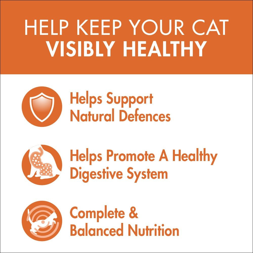 Purina One Adult Chicken Wet Cat Food