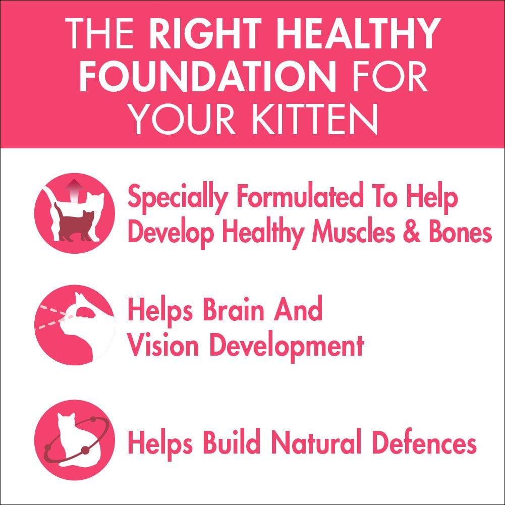 Purina One Kitten Chicken Wet Cat Food 70g