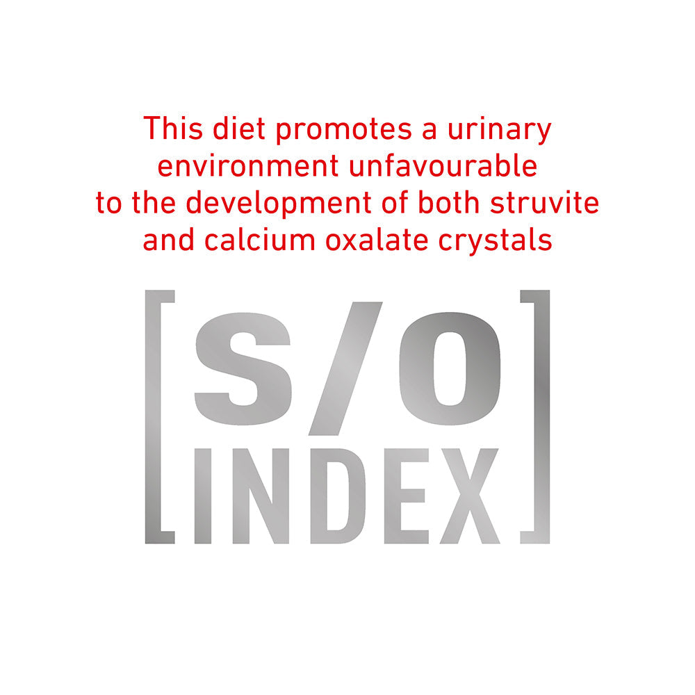 Royal Canin Veterinary Diabetic Special Low Carbohydrate Wet Dog Food