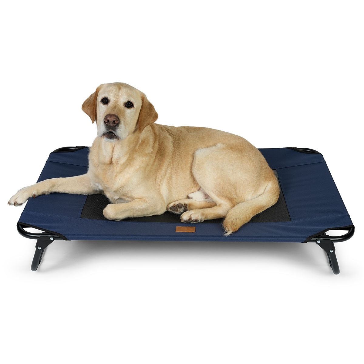 Buddy & Belle Deluxe Raised Outdoor Dog Bed
