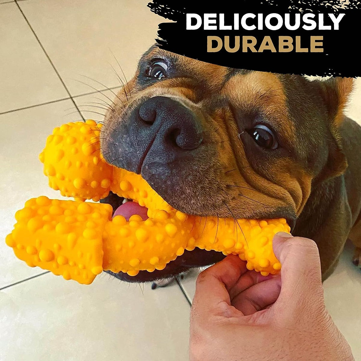 Tasty Bone Chicken Nylon Trio Dog Chew Toy