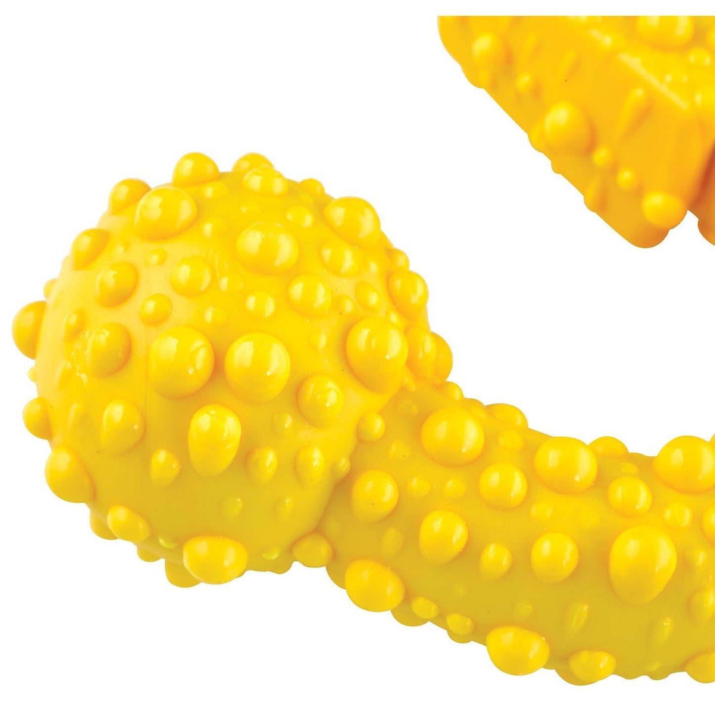 Tasty Bone Chicken Nylon Trio Dog Chew Toy