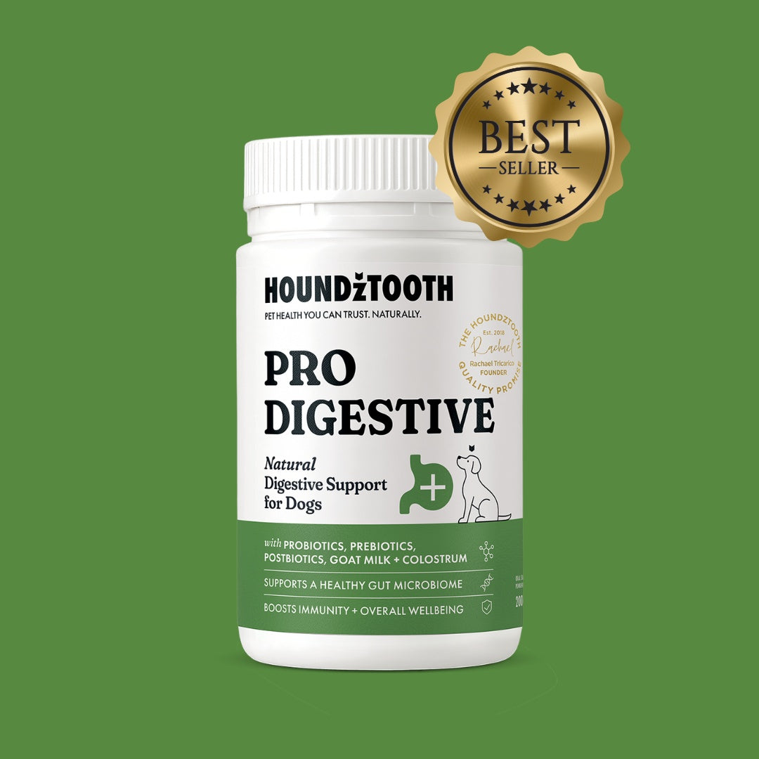 HoundzTooth Prodigestive Aid Dog Supplement
