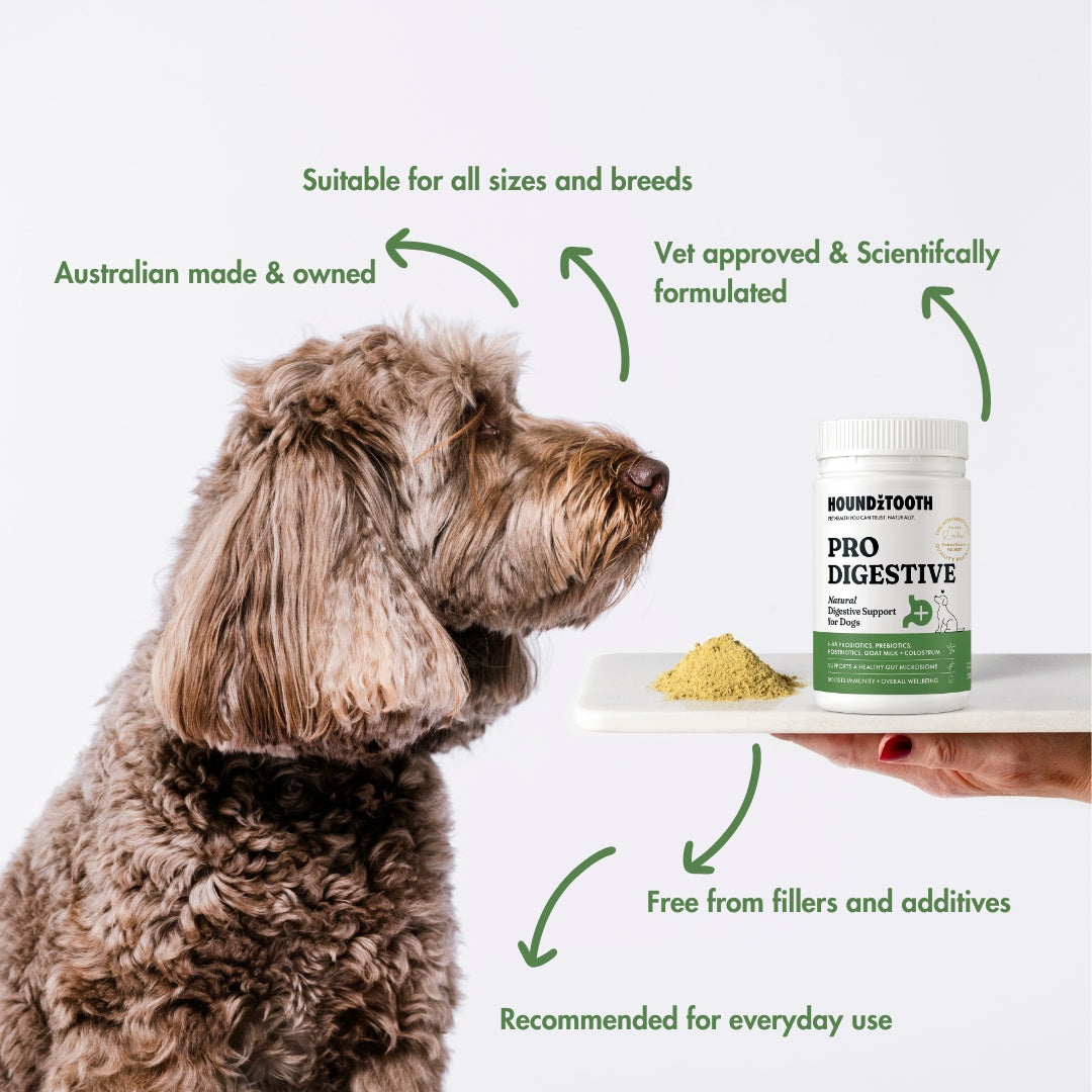 HoundzTooth Prodigestive Aid Dog Supplement