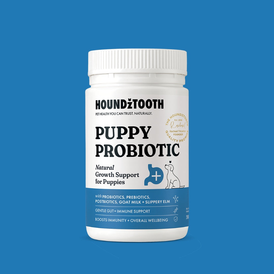 HoundzTooth Puppy Probiotic 200g