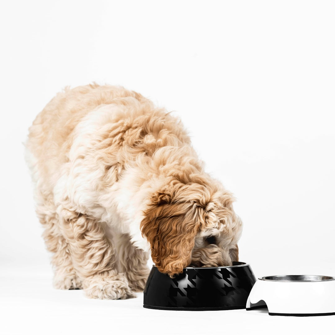 HoundzTooth Puppy Probiotic 200g