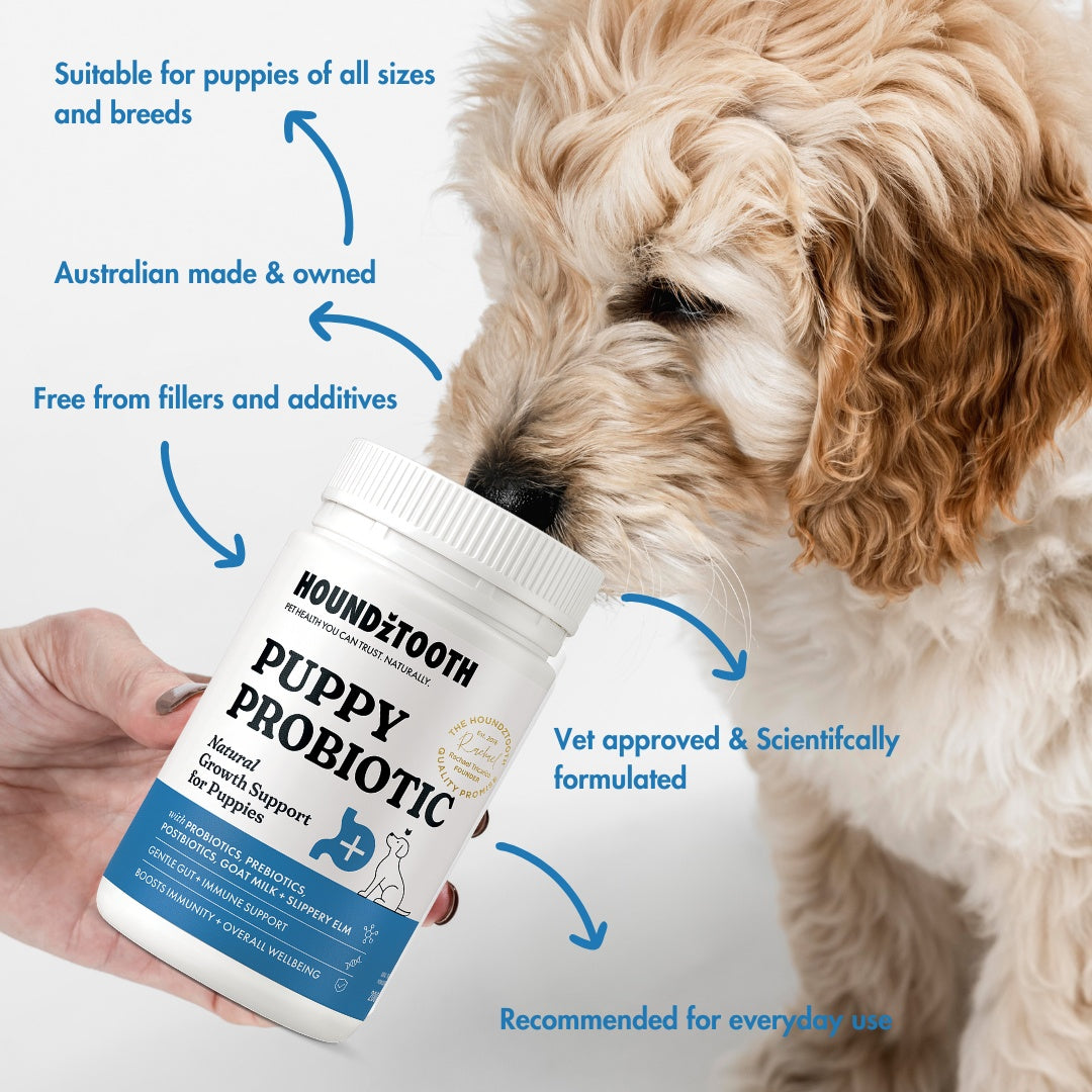 HoundzTooth Puppy Probiotic 200g