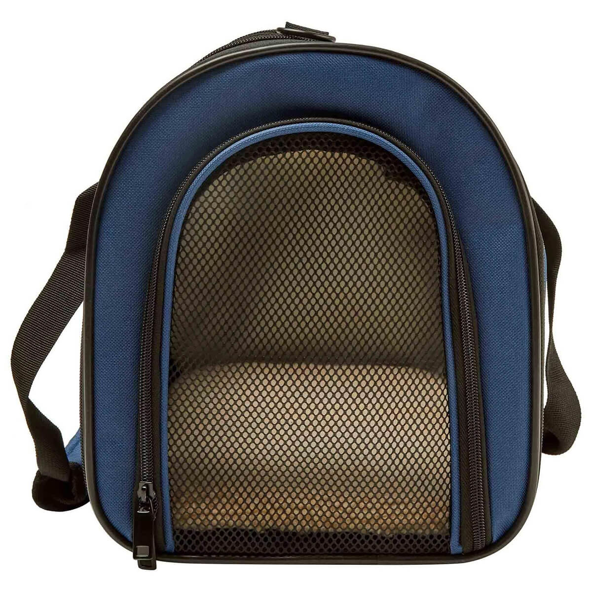 Buddy & Belle Collapsible Pet Carrier