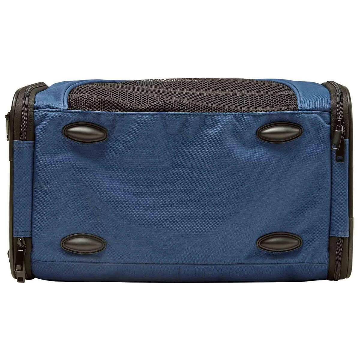 Buddy & Belle Collapsible Pet Carrier