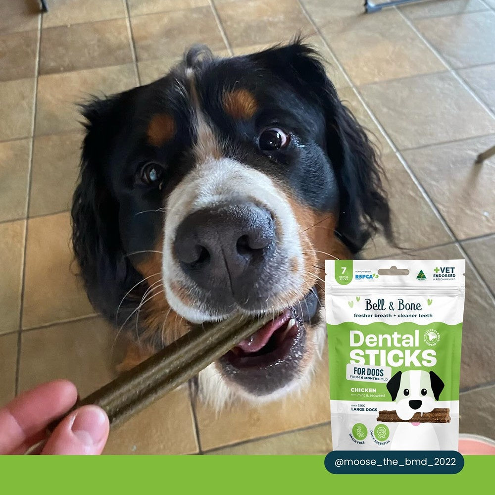 Bell & Bone Large Breed Chicken Dental Sticks Dog Treats