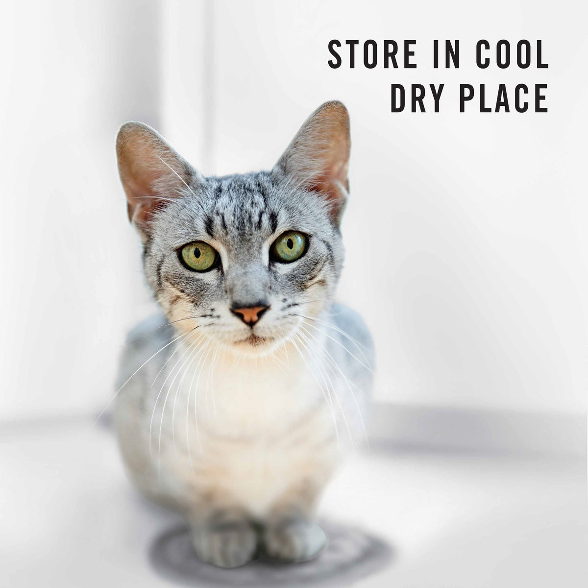 Pro Plan Adult Indoor Hairball Control Dry Cat Food