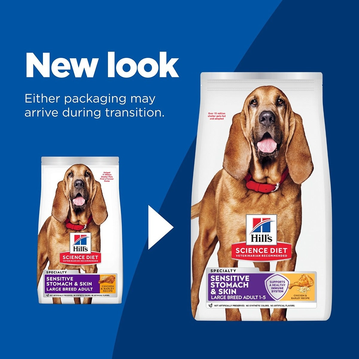 Hill's Science Diet Large Breed Sensitive Stomach & Skin Adult Dry Dog Food