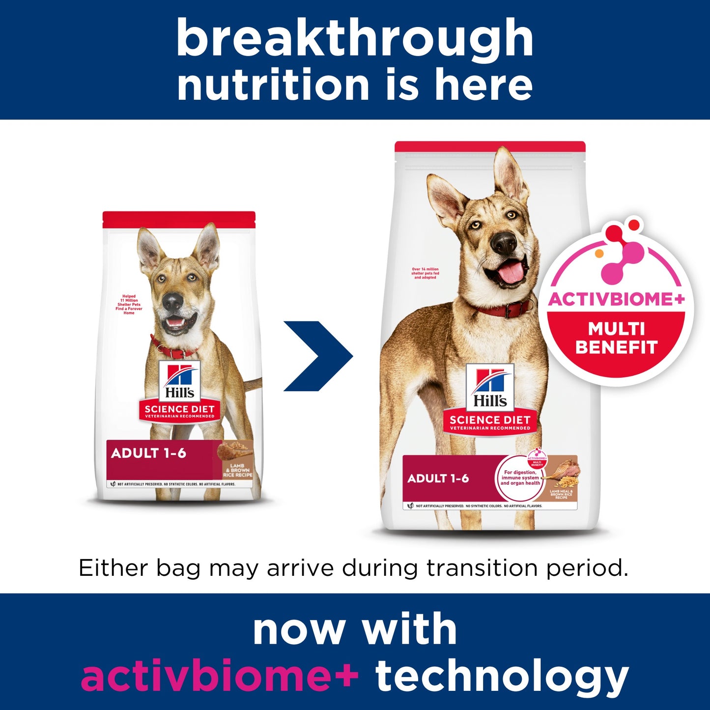 Hill's Science Diet Adult Lamb & Rice Dry Dog Food
