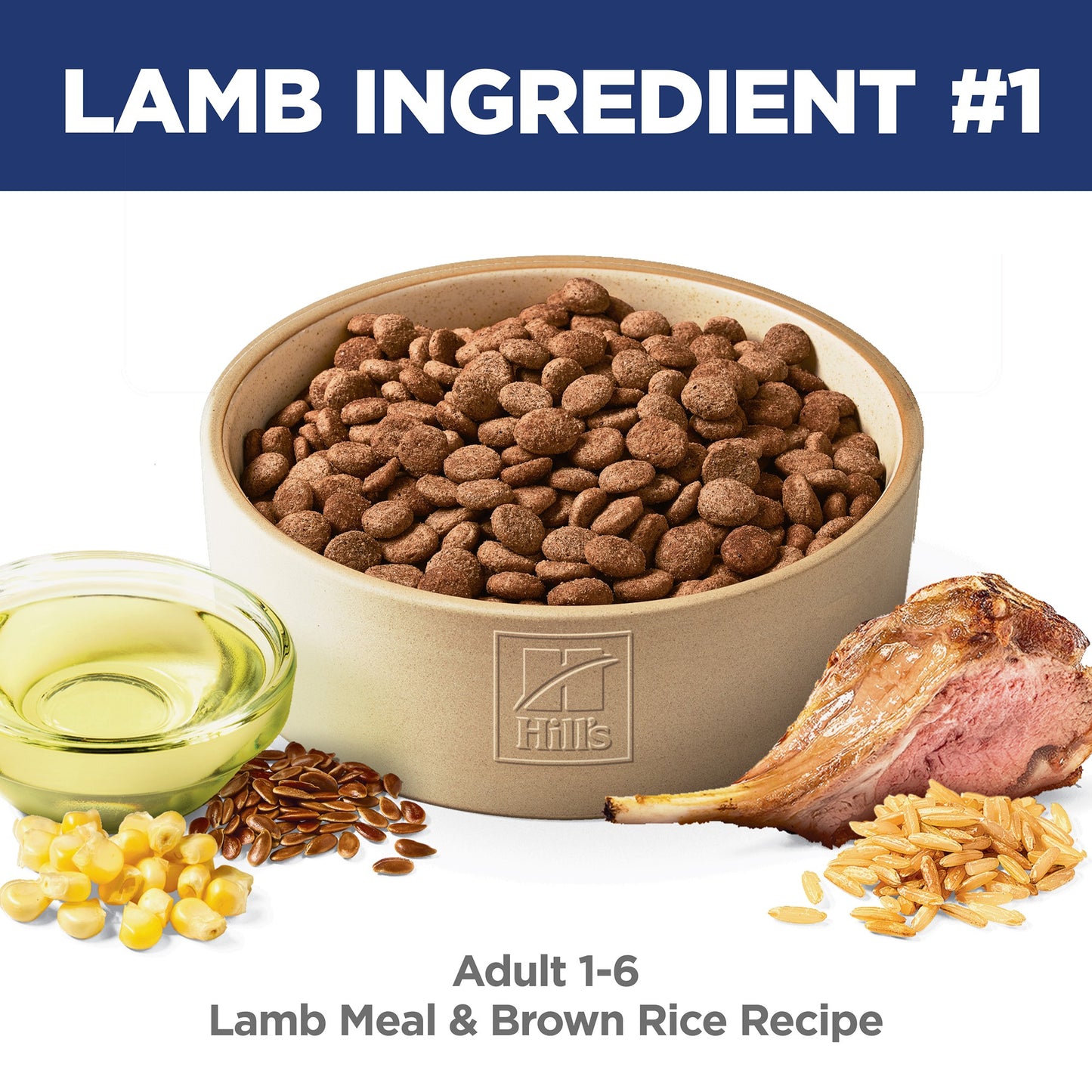Hill's Science Diet Adult Lamb & Rice Dry Dog Food