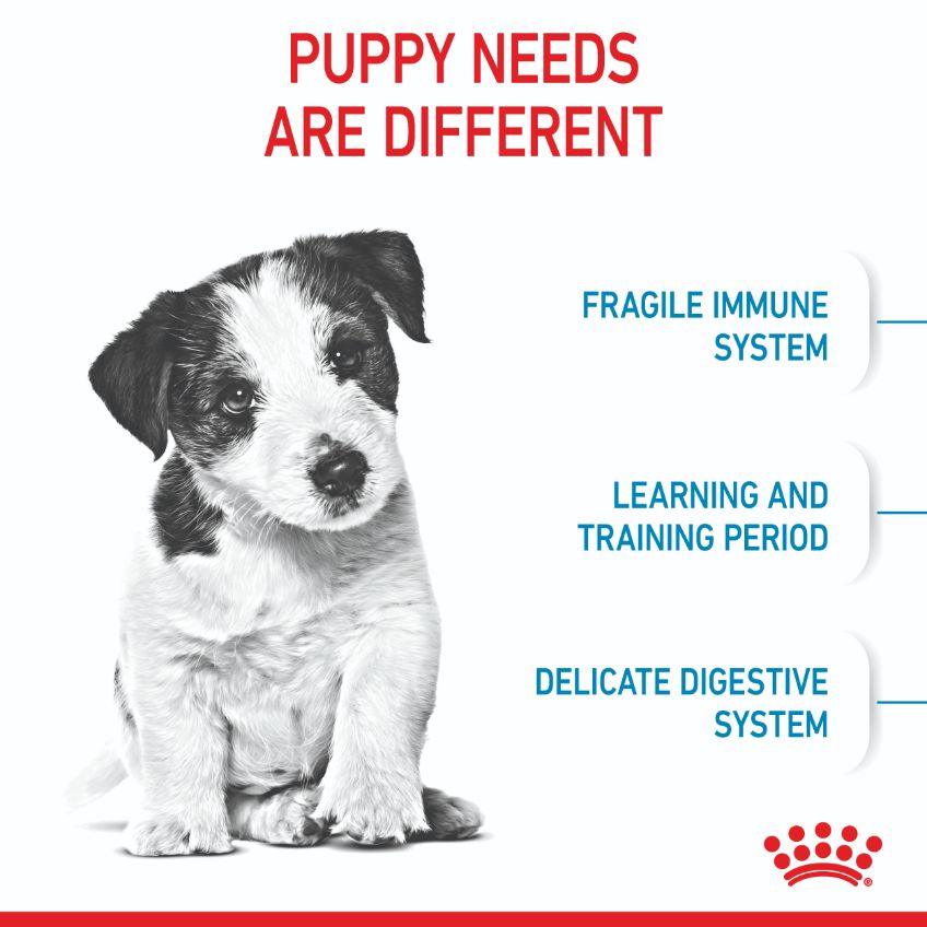 Royal Canin Mini Breed Puppy Dry Dog Food