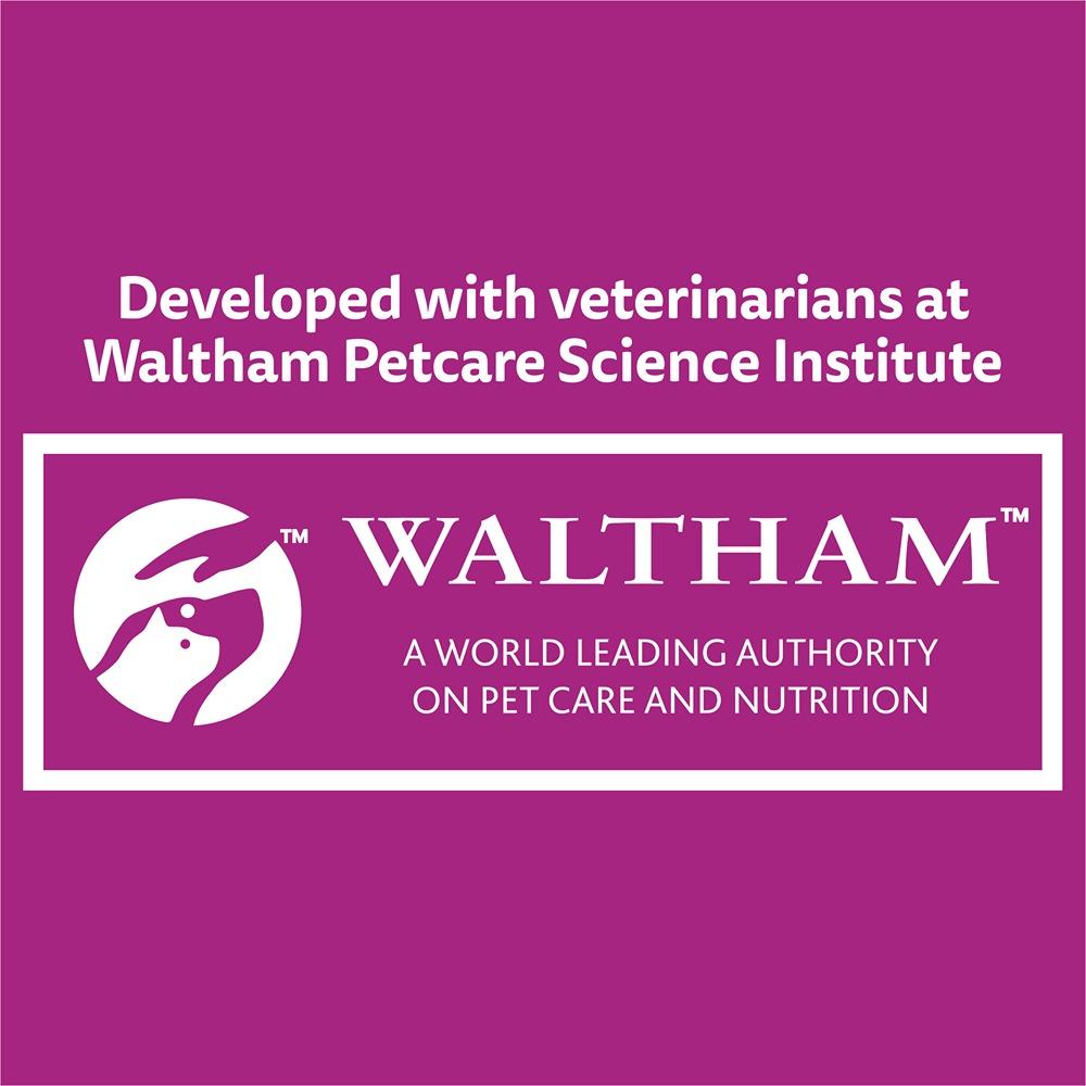 Whiskas Adult So Fishy Seafood in Jelly Wet Cat Food 12x85g