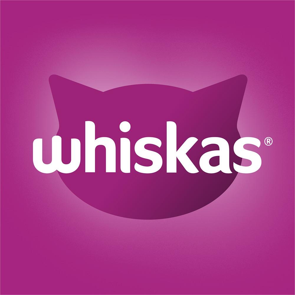 Whiskas Adult So Fishy Seafood in Jelly Wet Cat Food 12x85g