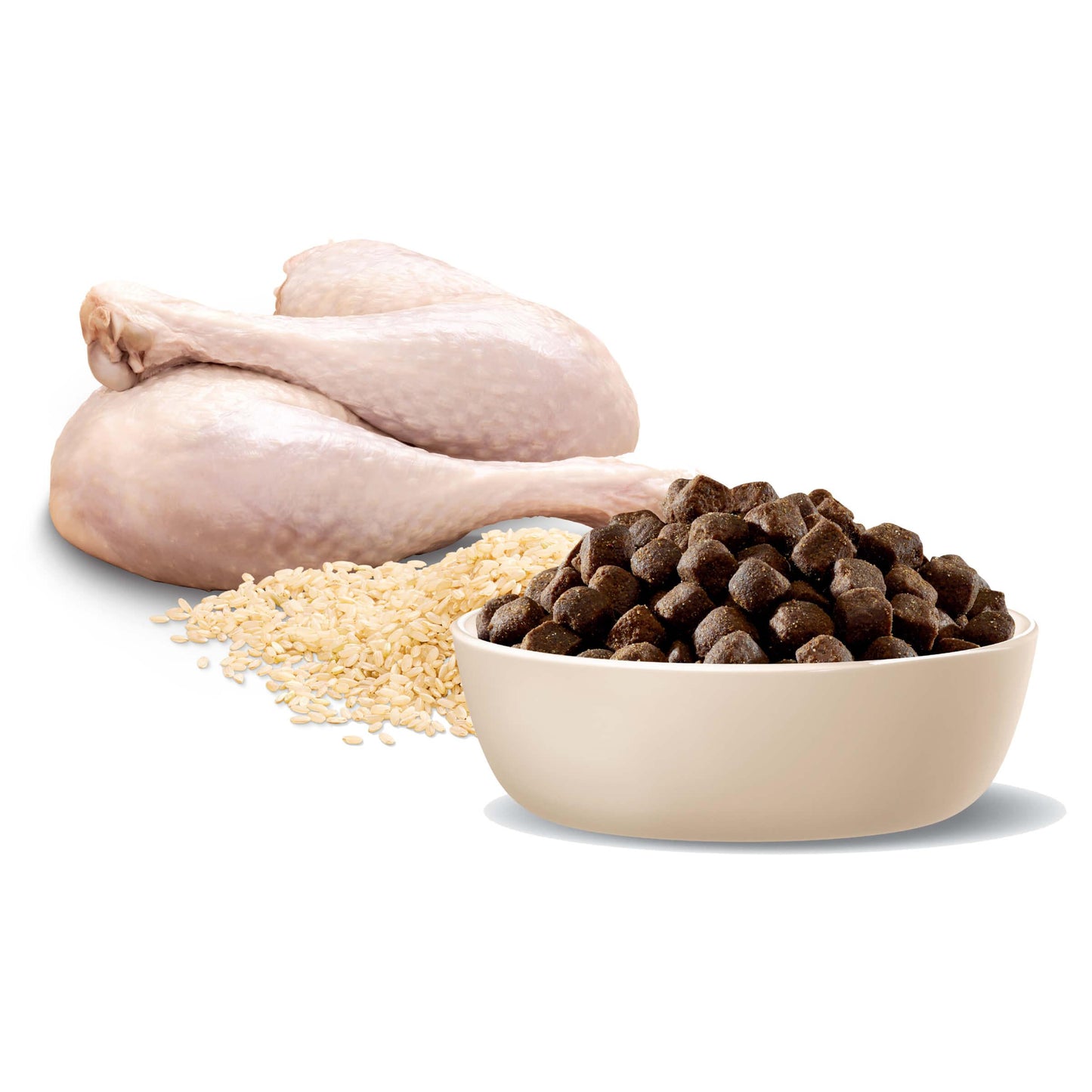 Advance Medium Terriers Turkey Dry Dog Food