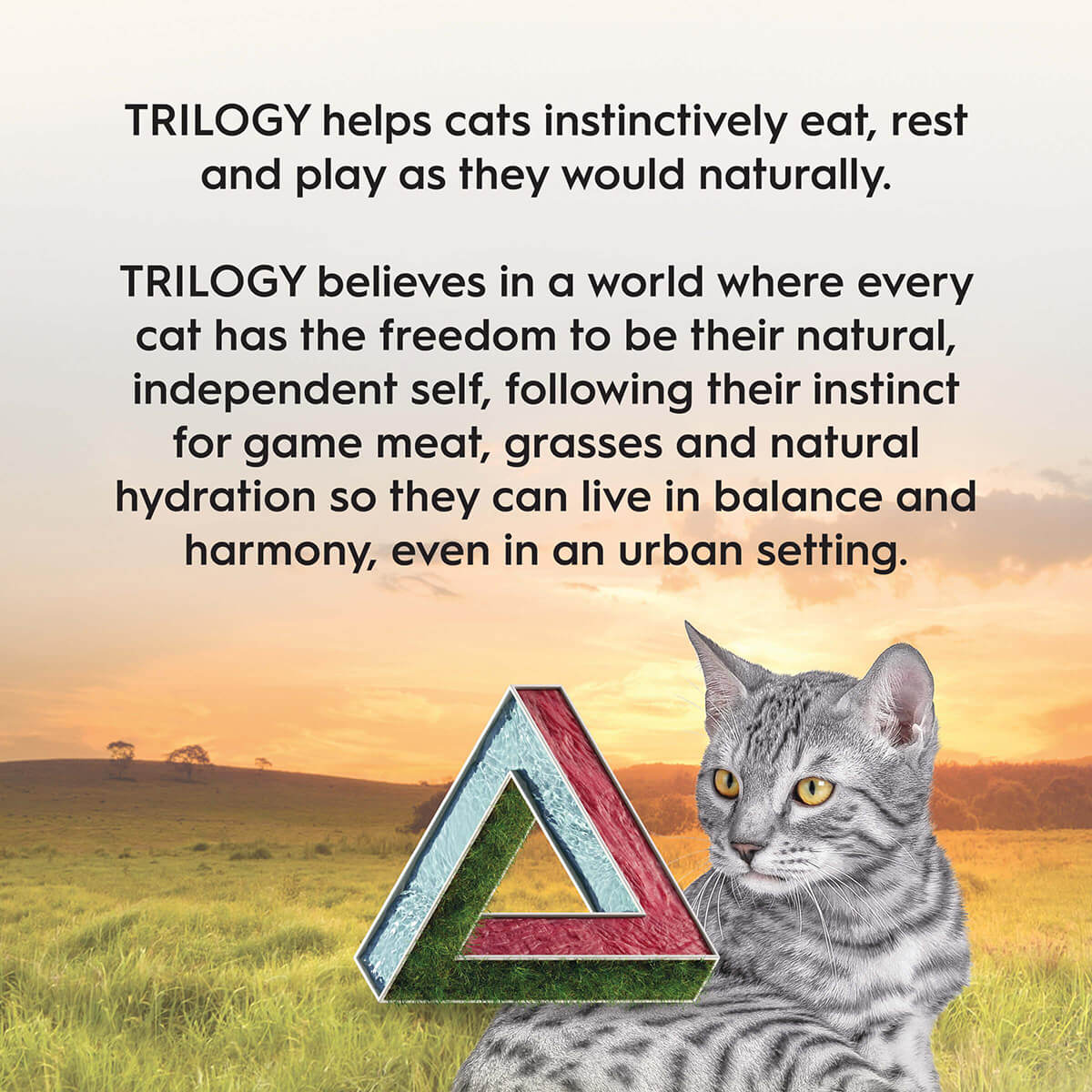 Trilogy Australian Kangaroo & Freeze Dried Lamb Adult Dry Cat Food