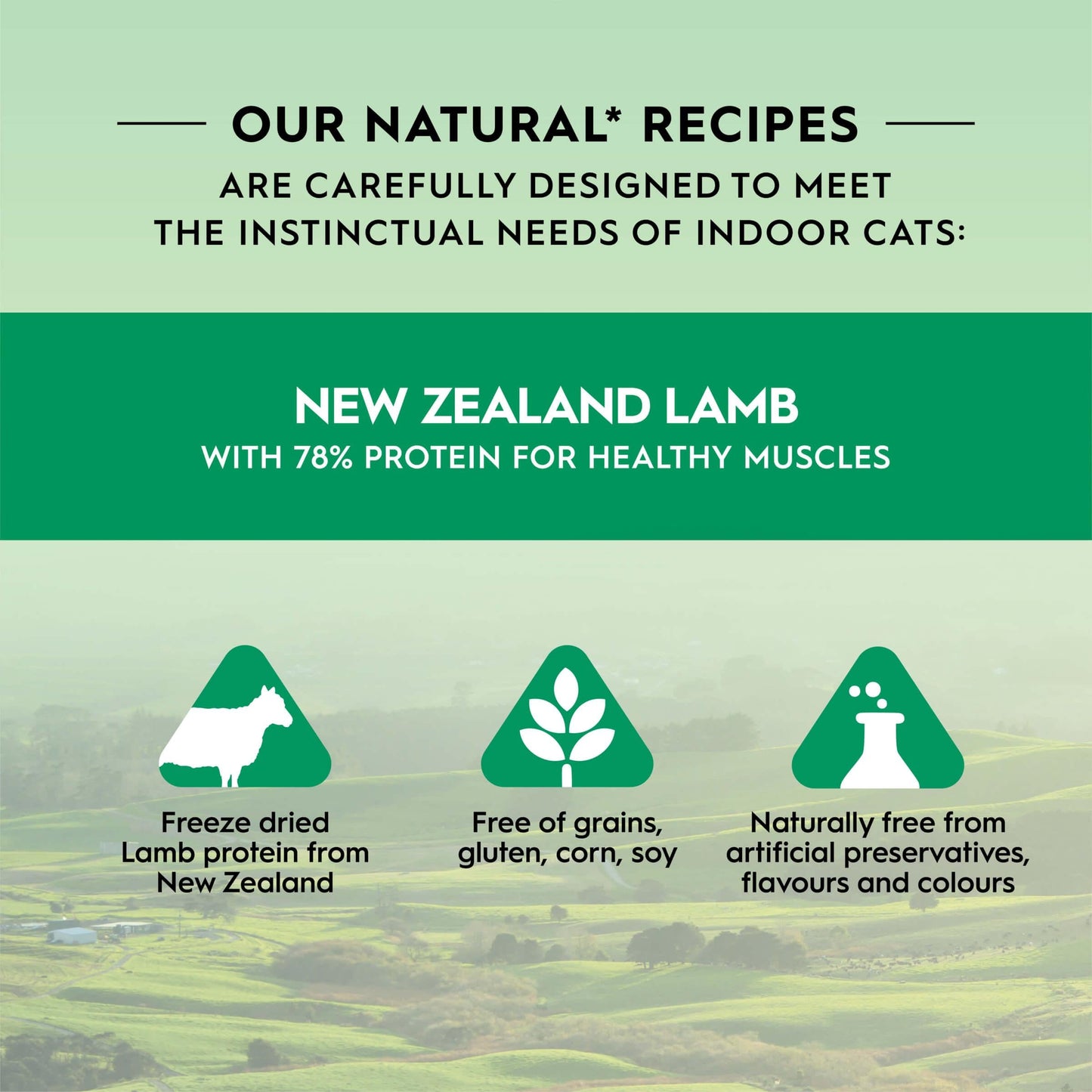 Trilogy Freeze Dried Lamb Cat Treats