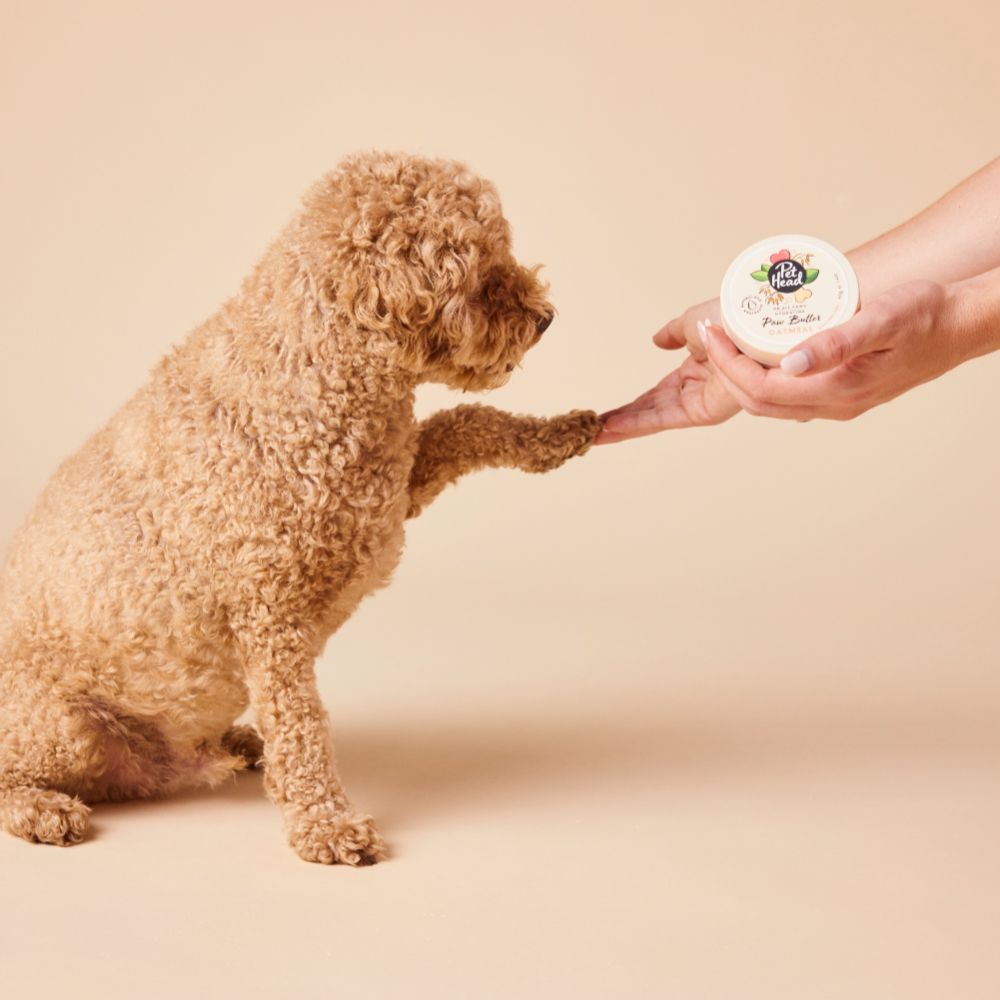 Pet Head On All Paws Paw Balm Butter