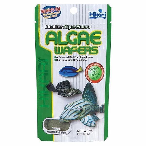 Hikari Algae Wafers Fish Food