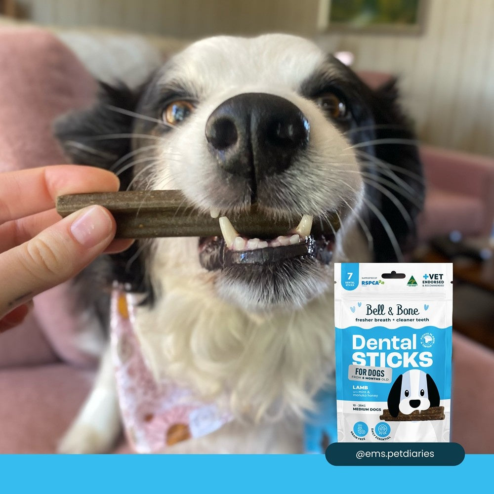 Bell & Bone Medium Breed Lamb Dental Sticks Dog Treats