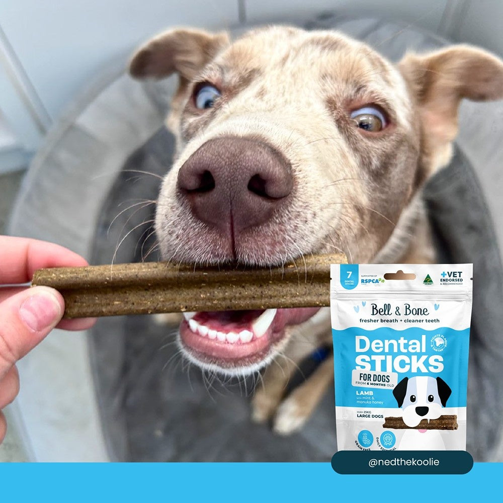 Bell & Bone Large Breed Lamb Dental Sticks Dog Treats