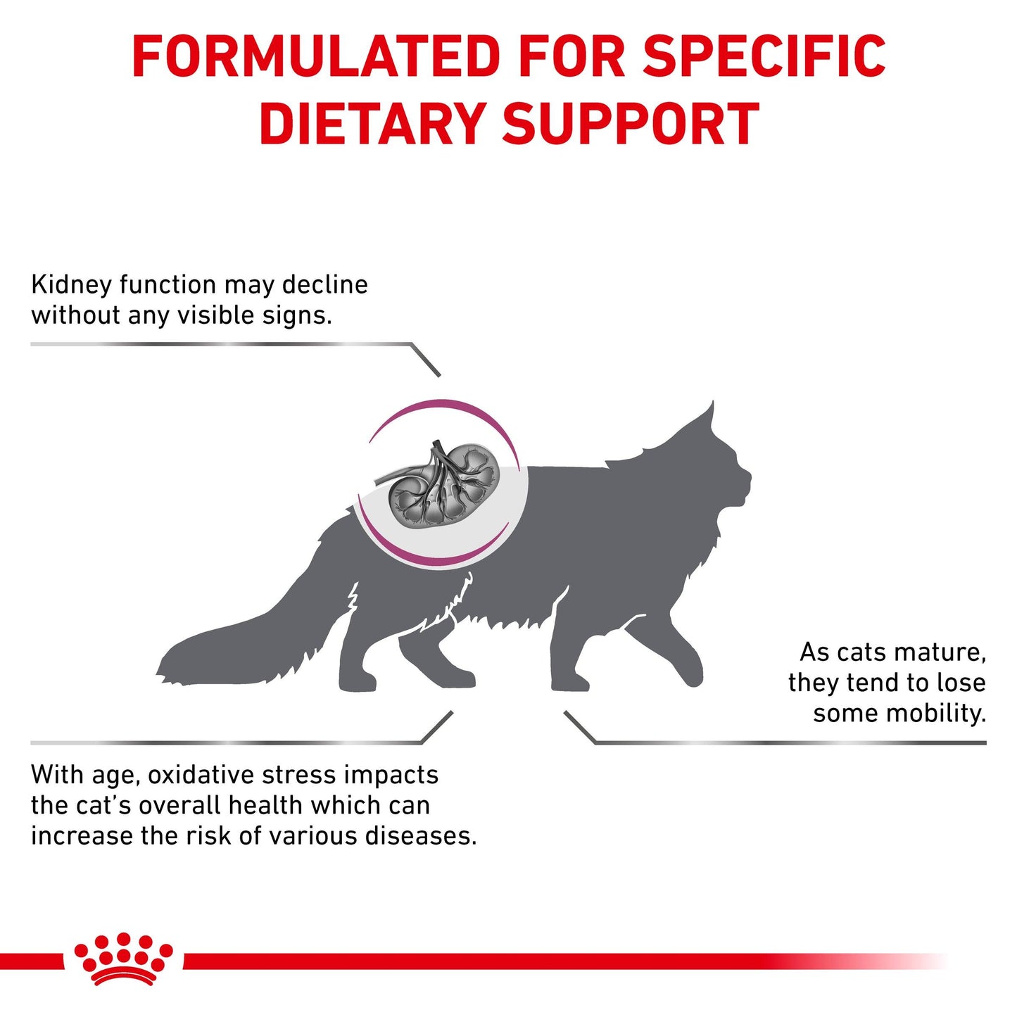 Royal Canin Veterinary Early Renal Dry Cat Food