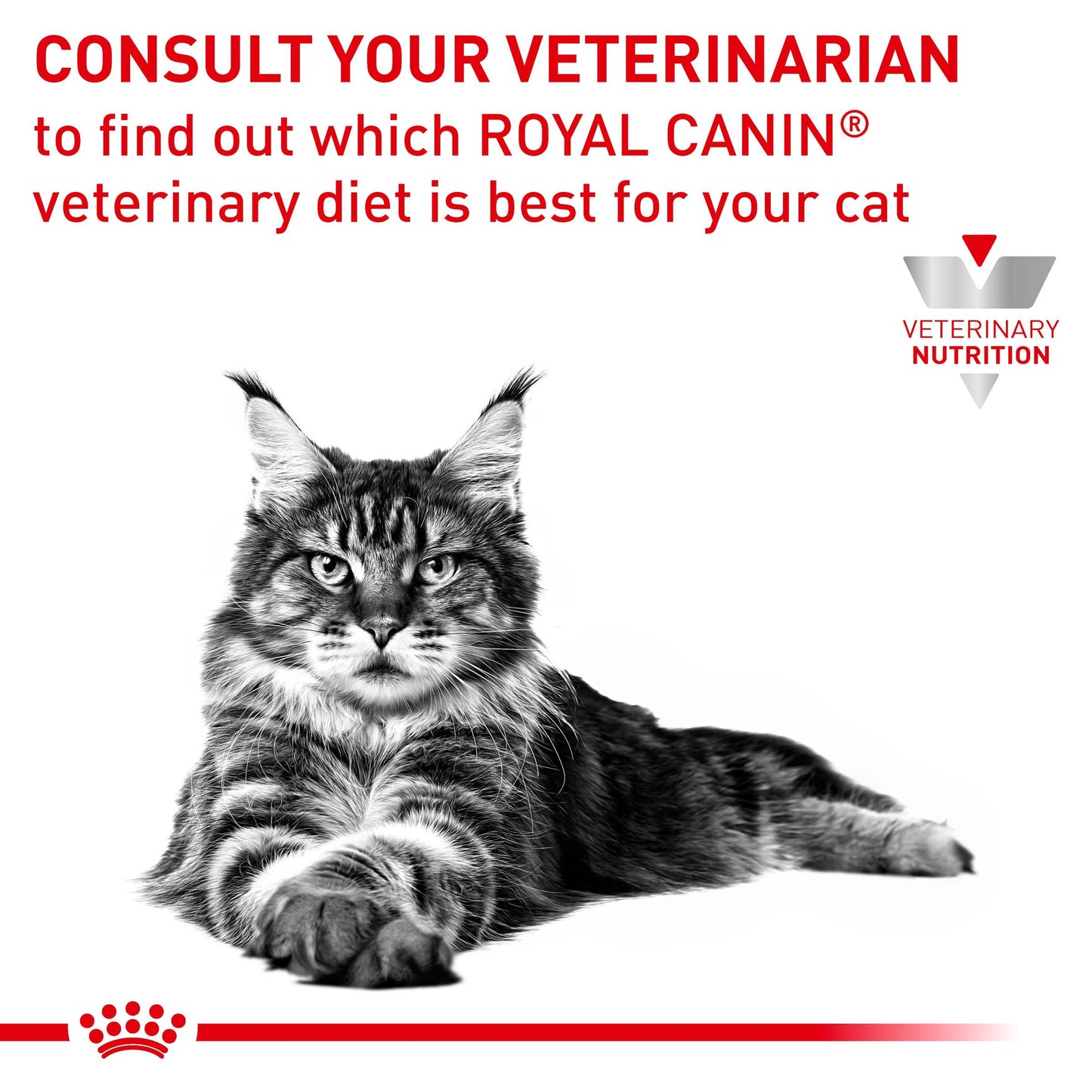 Royal Canin Veterinary Early Renal Dry Cat Food