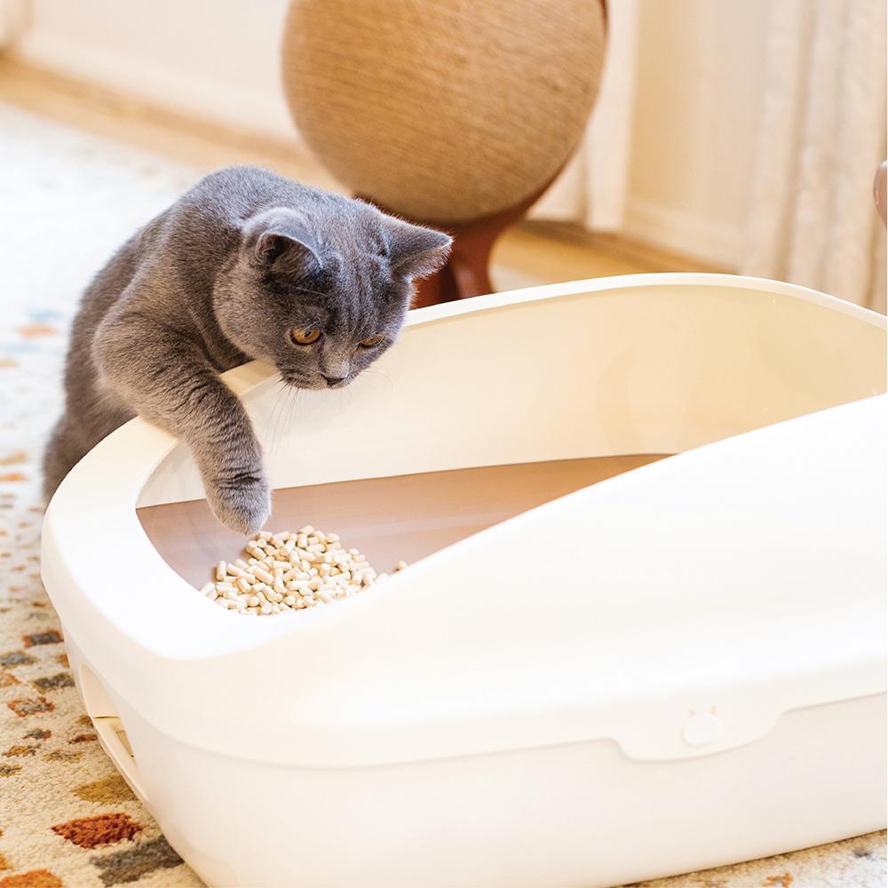 Ezi-Lock Odour Dual Layer Cat Litter