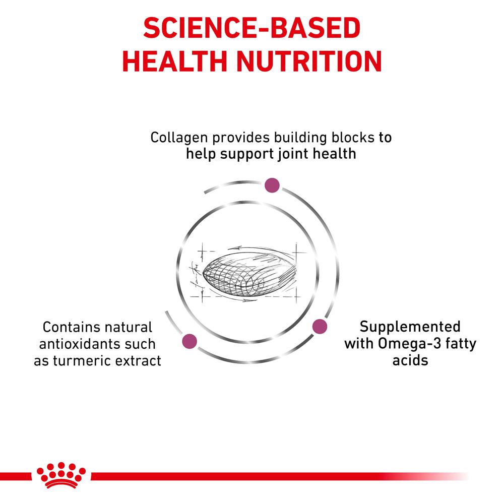 Royal Canin Veterinary Mobility C2P+ Dry Dog Food