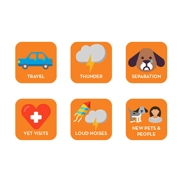 Thunder Wunder Calming Chews For Dogs