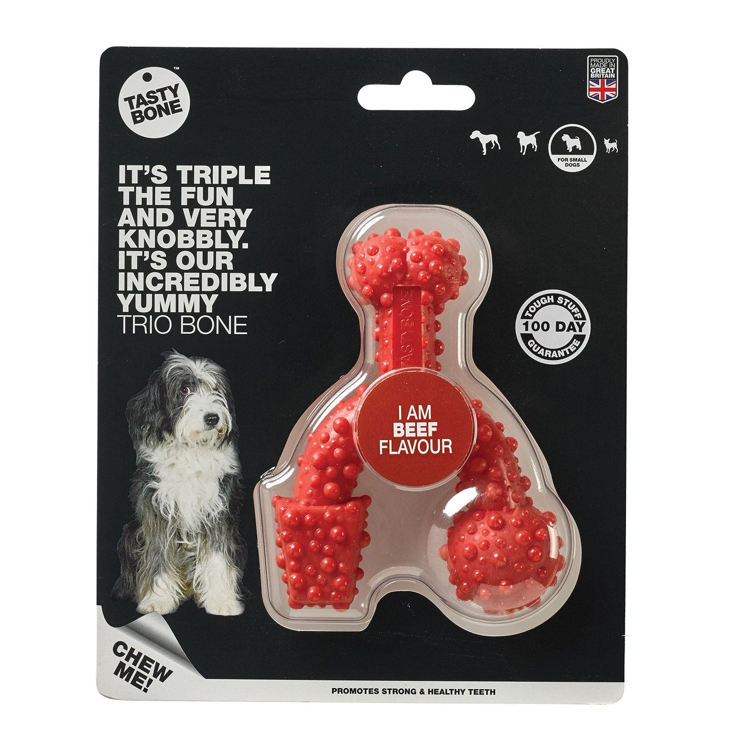 Tasty Bone Nylon Trio Beef Dog Toy