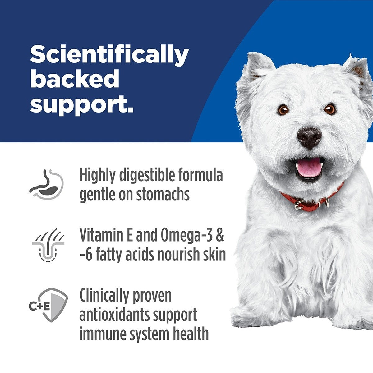 Hill's Science Diet Sensitive Skin & Stomach Adult Small Bites Dry Dog Food