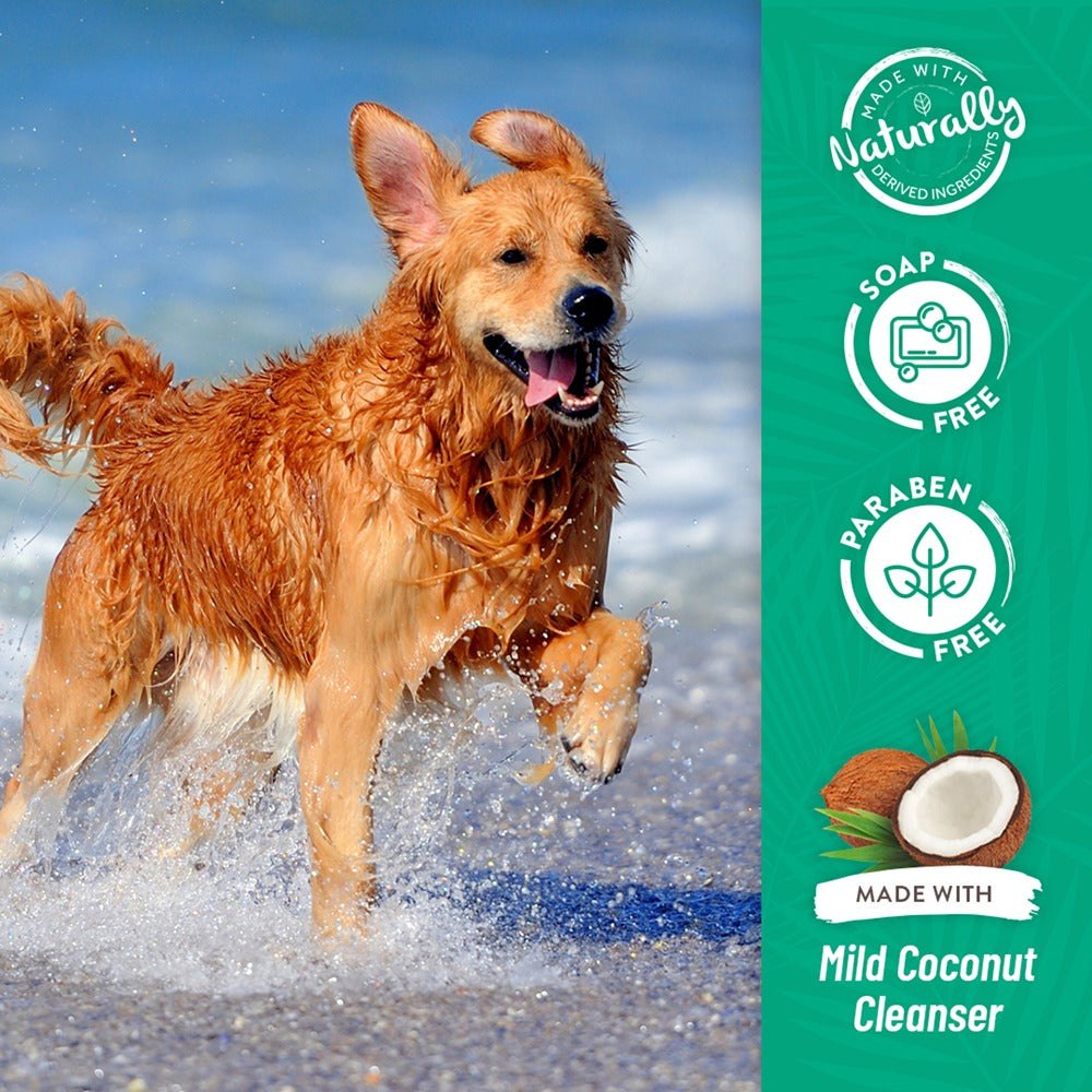 TropiClean Lime Coconut Shed Control Dog & Cat Shampoo