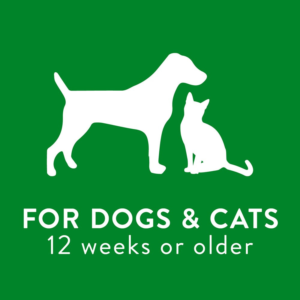 TropiClean Lime Coconut Shed Control Dog & Cat Shampoo