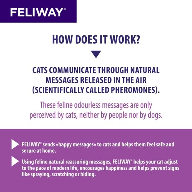 Feliway Home Diffuser Refill 48ml 3 pack