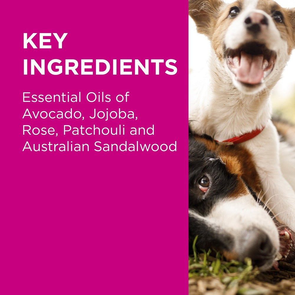 PAW Sensitive Skin Dog Conditioner