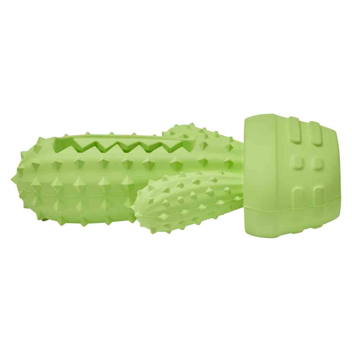 Lexi & Me Rubber Cactus Dental Dog Toy