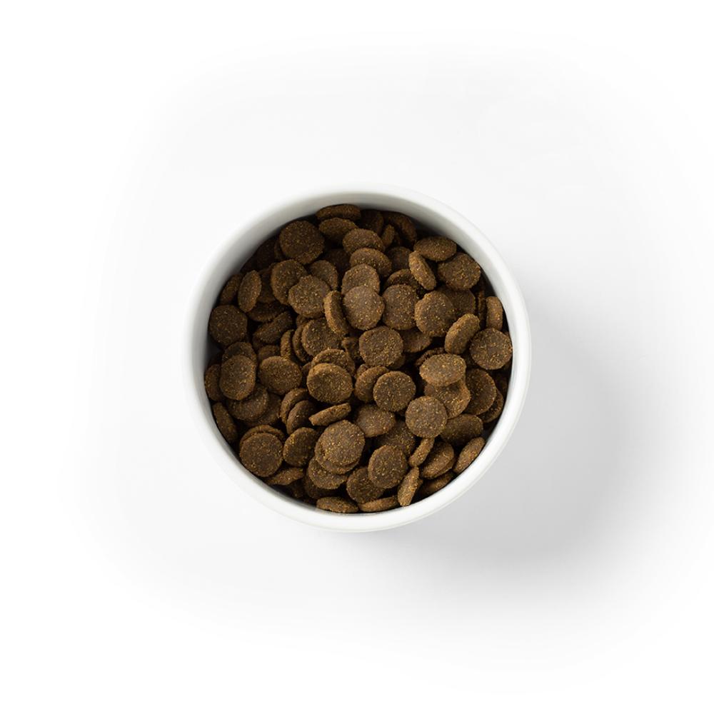Savourlife Grain Free Adult Large Breed Fish Dry Dog Food