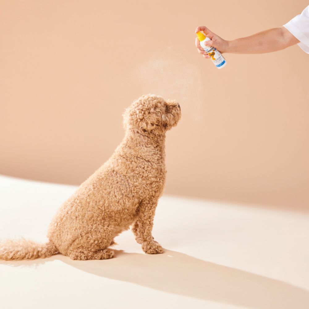 Petkin Doggy Sunmist SPF15* 120mL