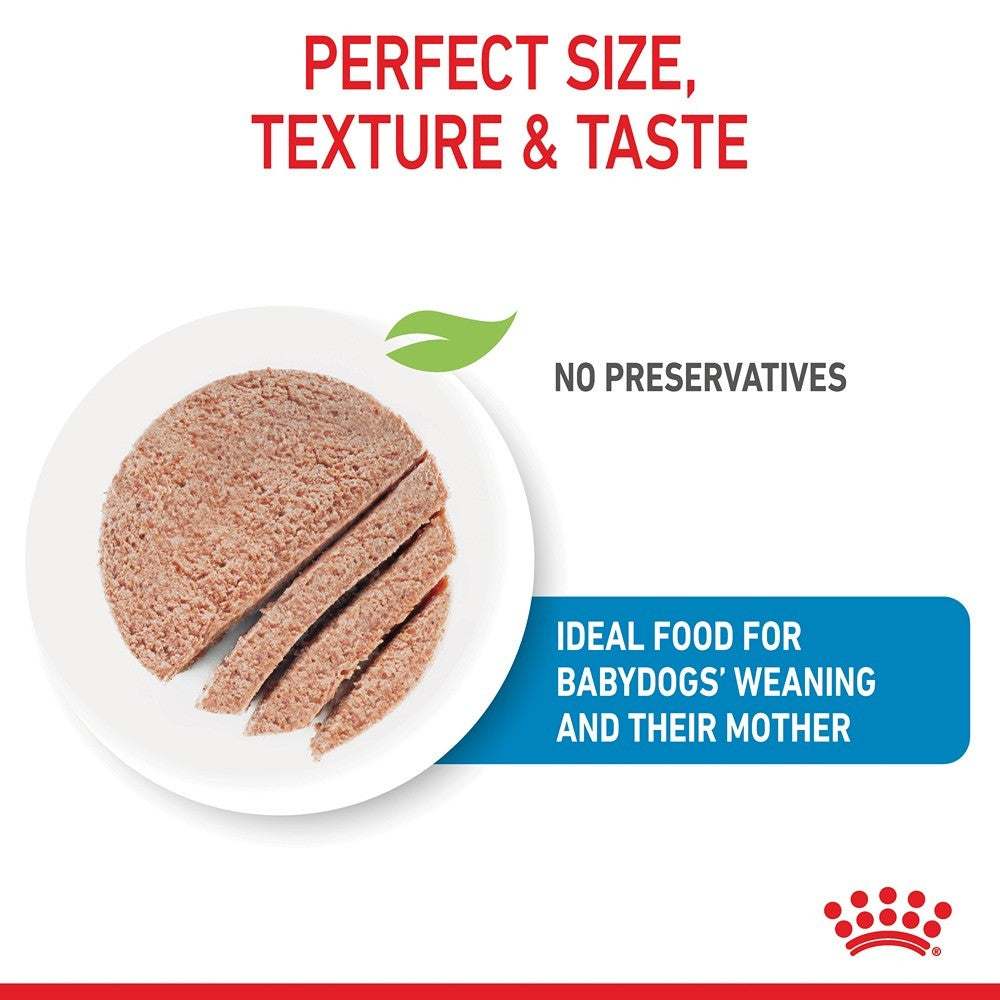 Royal Canin Mother and Babydog Mousse Canned Wet Dog Food