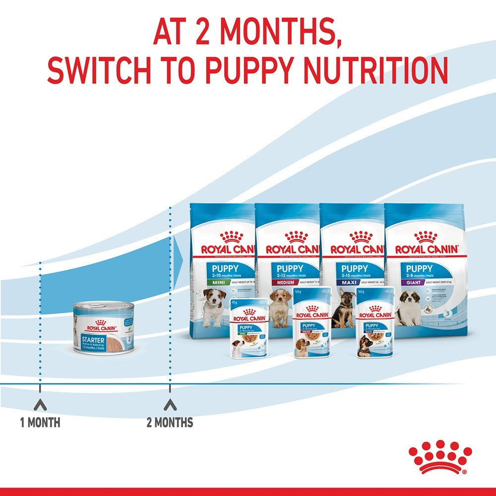 Royal Canin Mother and Babydog Mousse Canned Wet Dog Food