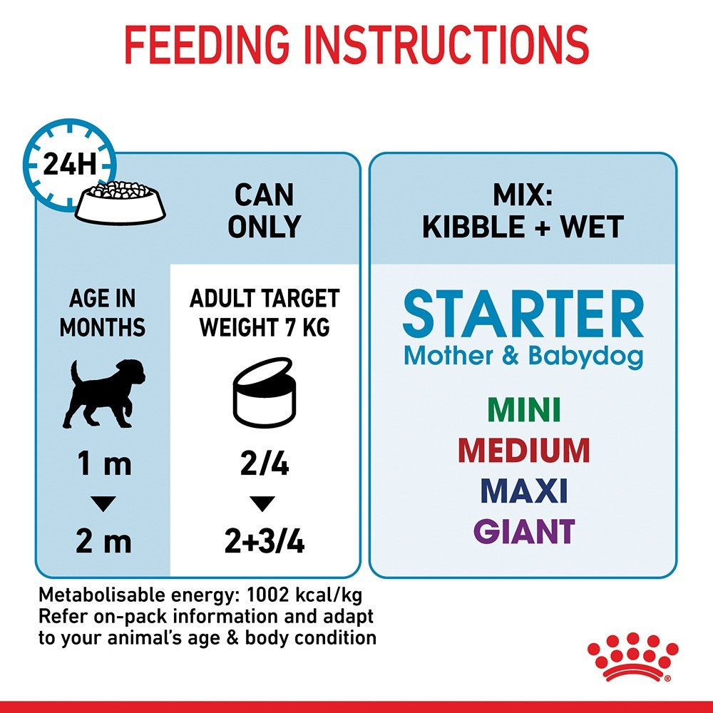 Royal Canin Mother and Babydog Mousse Canned Wet Dog Food