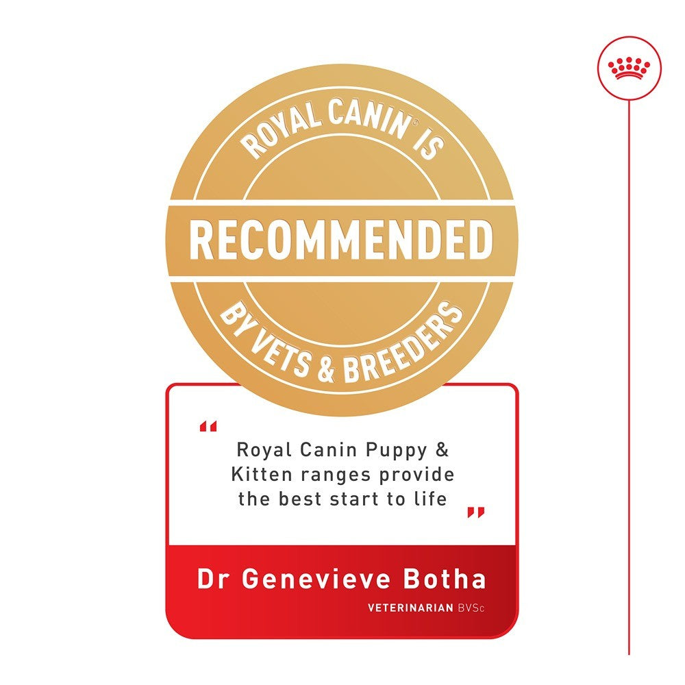 Royal Canin Mother and Babydog Mousse Canned Wet Dog Food