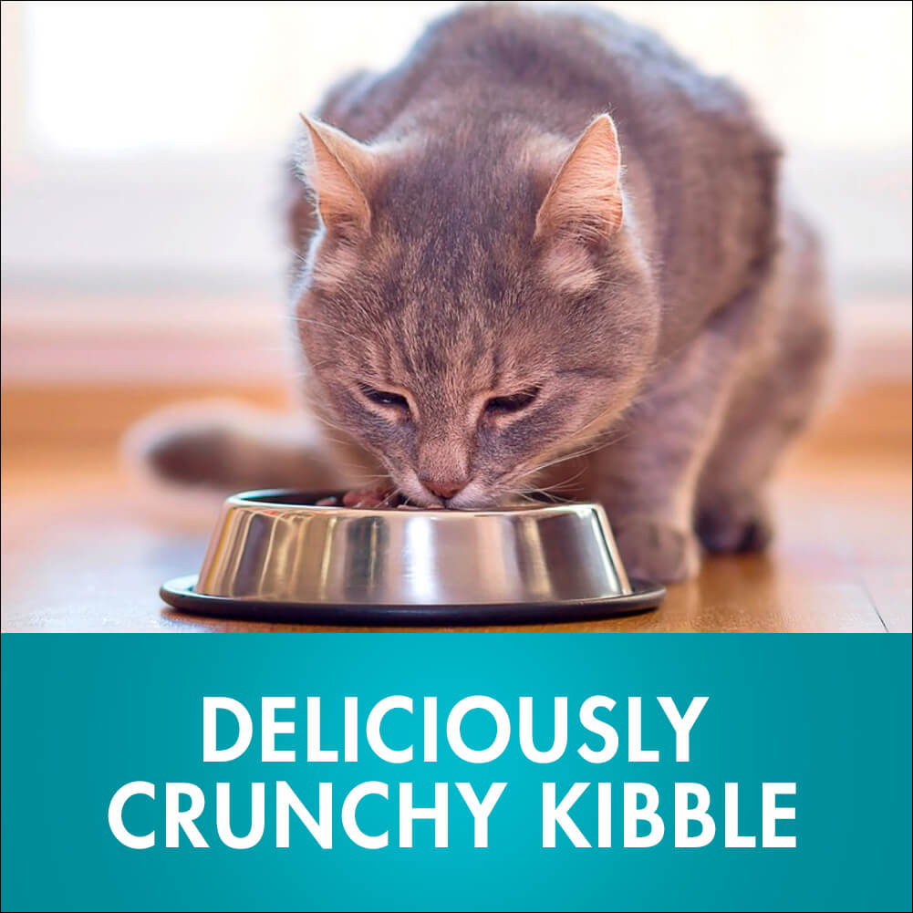 Purina One Adult Salmon and Tuna Dry Cat Food